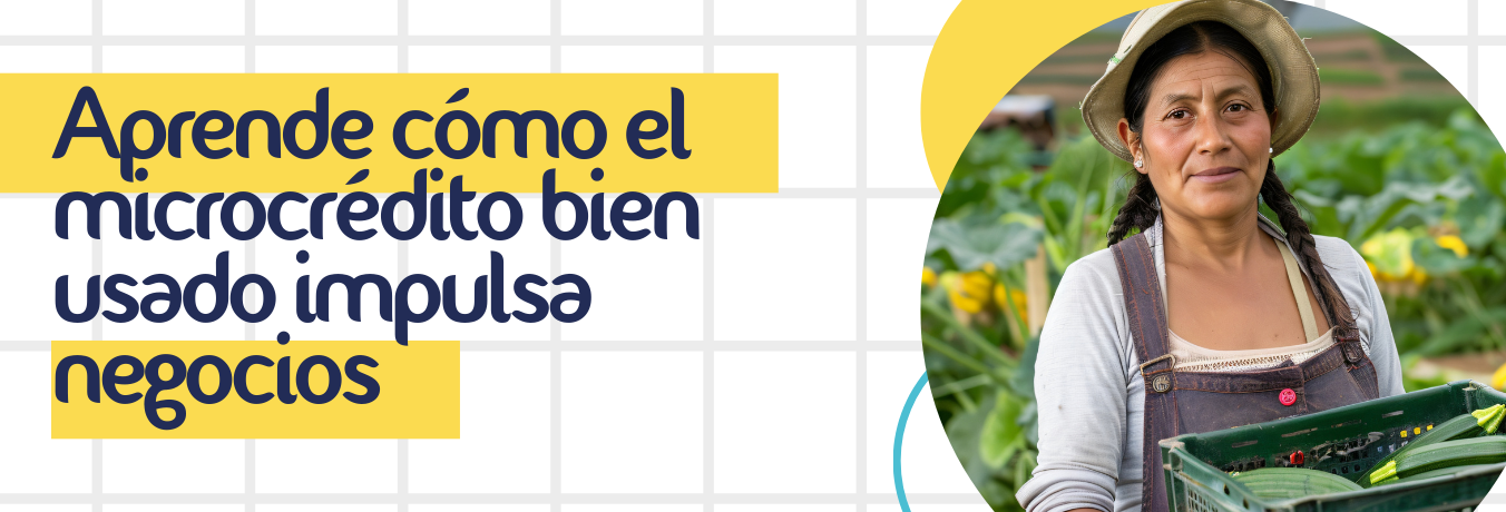 Capacitar al empresario en microcrédito: porque no es solo pedir o dar plata, es saber usarla bien