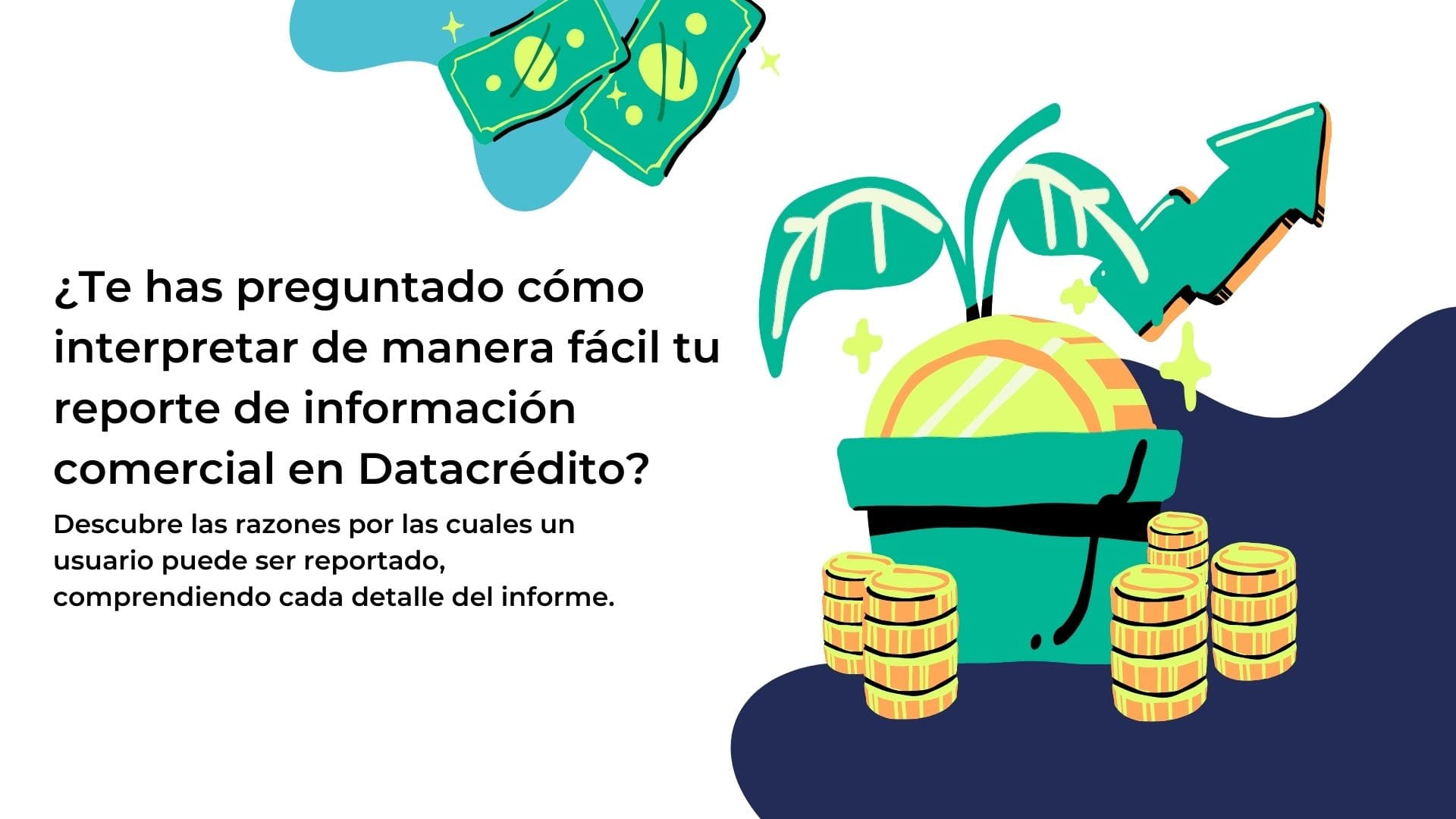 Análisis Financiero: ¿Cómo Interpretar Una Consulta A Datacrédito?