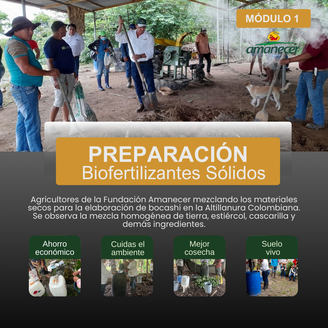 Módulo #1: Preparación de biofertilizantes sólidos