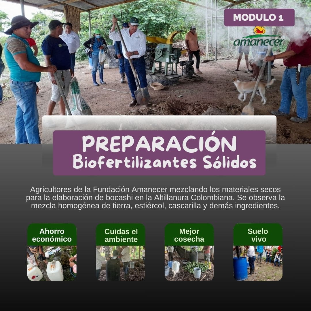 Módulo #1: Preparación de biofertilizantes sólidos
